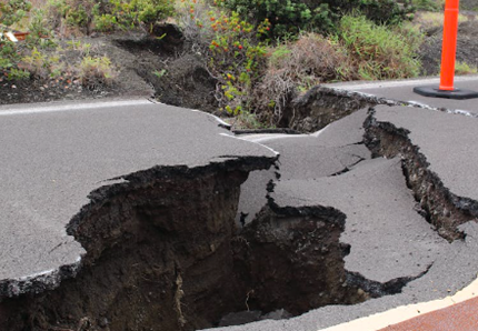 Terremoto in Turchia, cane salvato dopo 55 ore